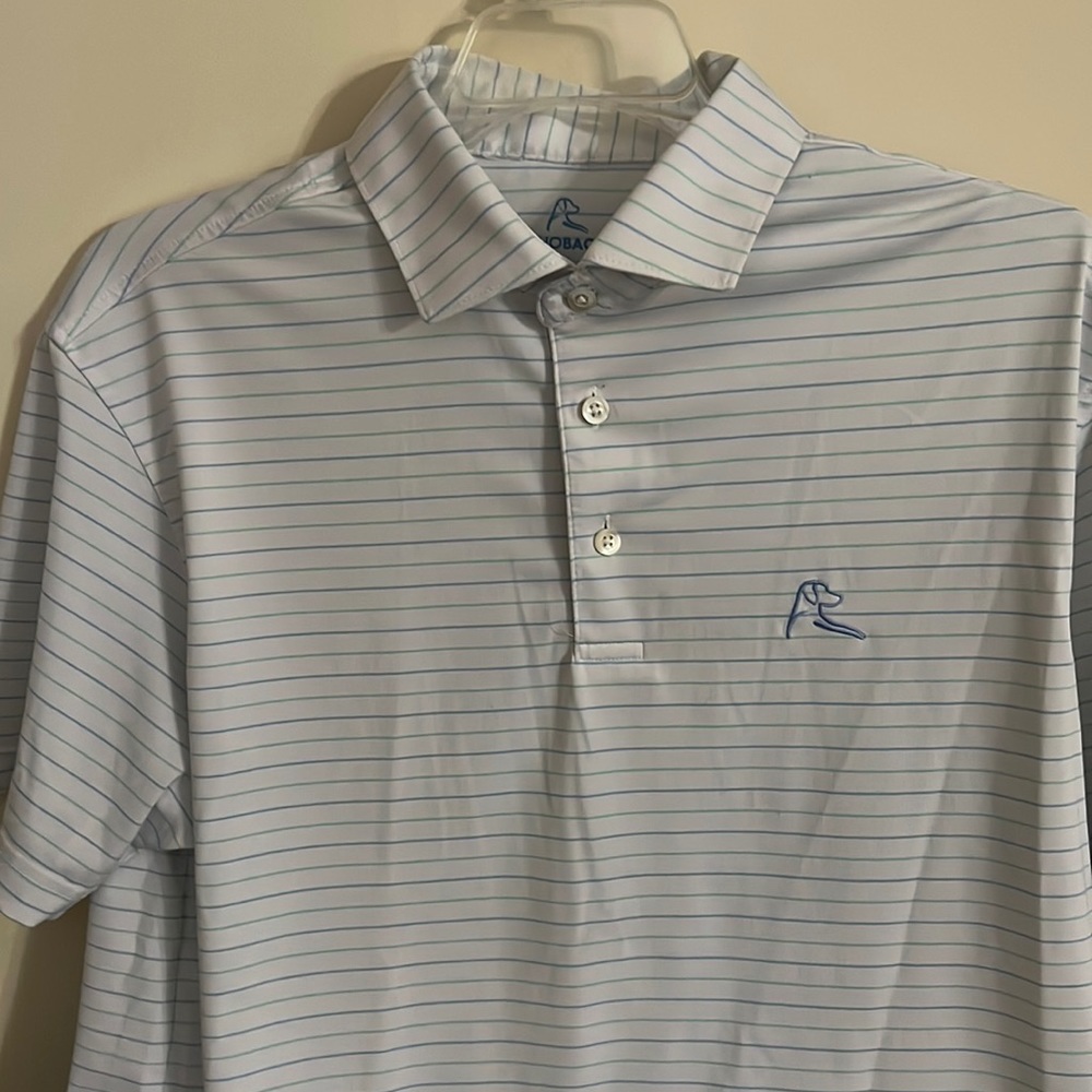 Rhoback Performance Polo | Blue/Green/White Stripes | Small | Good Condition